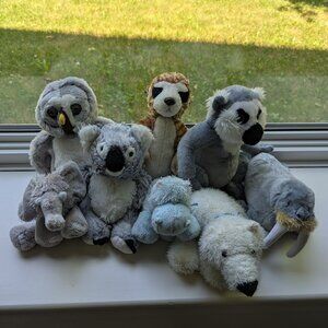 Webkinz Into The Wild - no codes